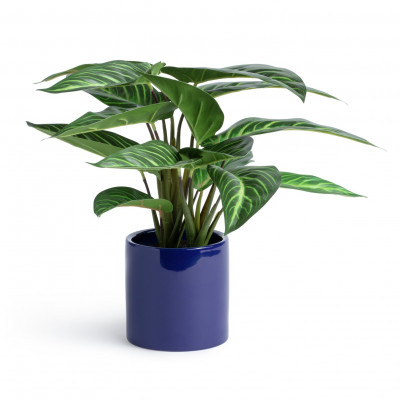 Habitat Faux Plant in Ceramic Pot - Blue