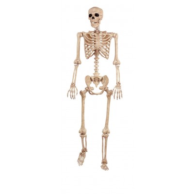 Argos Home Large Hanging Skeleton