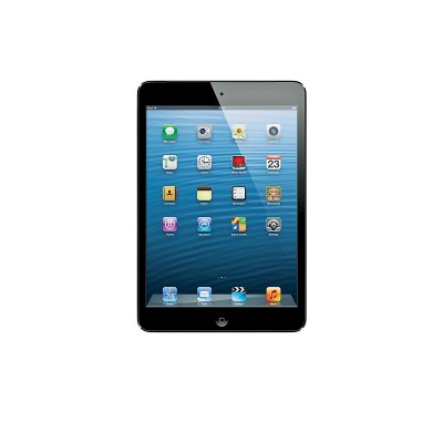 iPad Mini Wi-Fi Cellular 16GB - Black