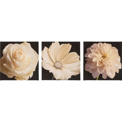 B&W Floral Set Of 3 20X20