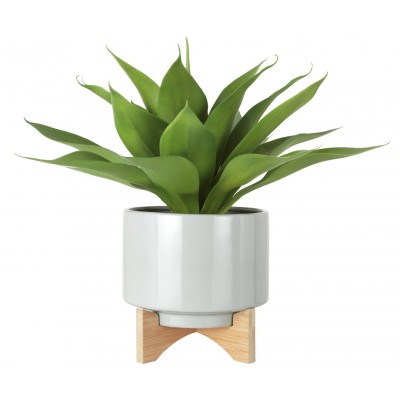 AGAVE IN CERAMIC POT W/STAND