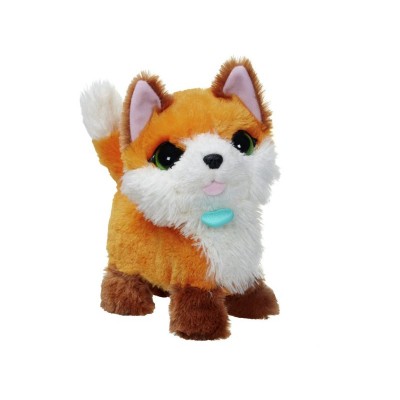 FRR ROXIE MY BEAT BOXIN FOX