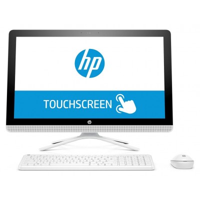 HP 23.8 In Pentium 8GB 1TB All-in-One PC
