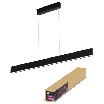 HUE ENSIS PENDANT COLOUR LIGHT BLACK