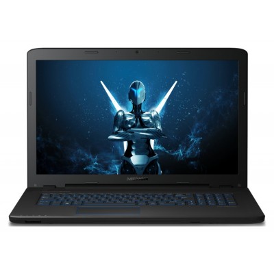 Medion P7647 i5 17 In 8GB 1TB 128GB GTX950M Gaming Laptop