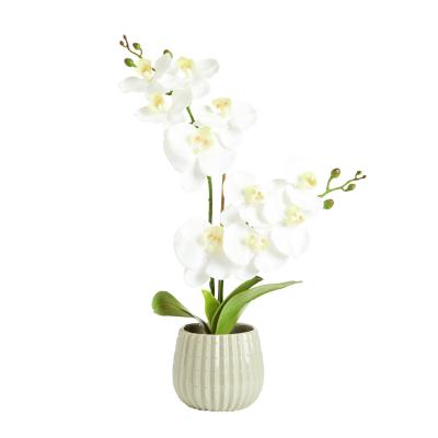 Argos Home Artificial White Orchids in Cream Ceramic Pot