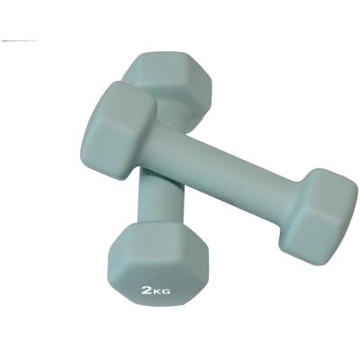 Pro Fitness Neoprene Dumbbells - 2 x 2kg