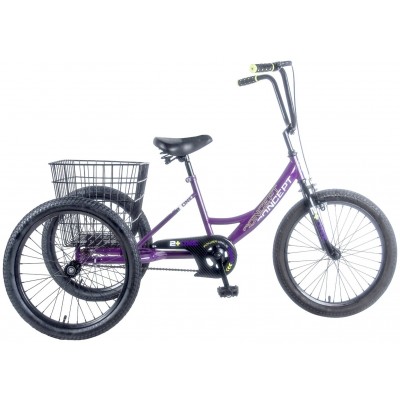 Concept 12 Inch Kids Bike - Purple