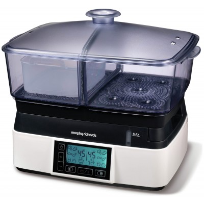 Morphy Richards Intellisteam Compact Steamer