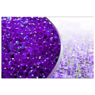 Canadian Spa Company Hot Tub Aromatherapy Lavender Relax