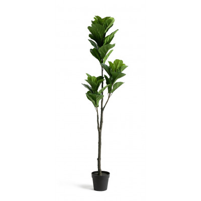 Habitat Large Faux Fig Tree in Black Pot